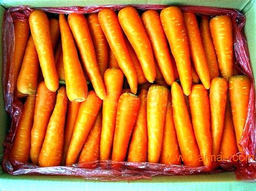 東莞市百善鮮膳食管理 服務(wù)一流的蔬菜配送供應(yīng)商 中堂蔬菜配送,東莞市百善鮮膳食管理 服務(wù)一流的蔬菜配送供應(yīng)商 中堂蔬菜配送生產(chǎn)廠家,東莞市百善鮮膳食管理