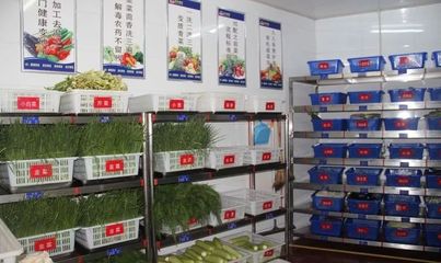 中成偉業(yè)-慶樂餐飲“零”底薪團隊打造路演班