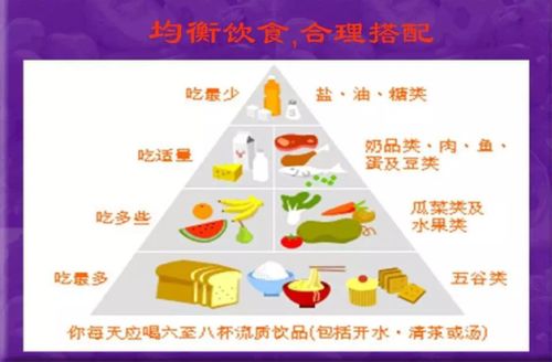 糖尿病飲食管理 手掌法則