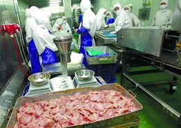 湖南開展肉類市場(chǎng)整治 徹查福喜問題食品原料 柴米油鹽